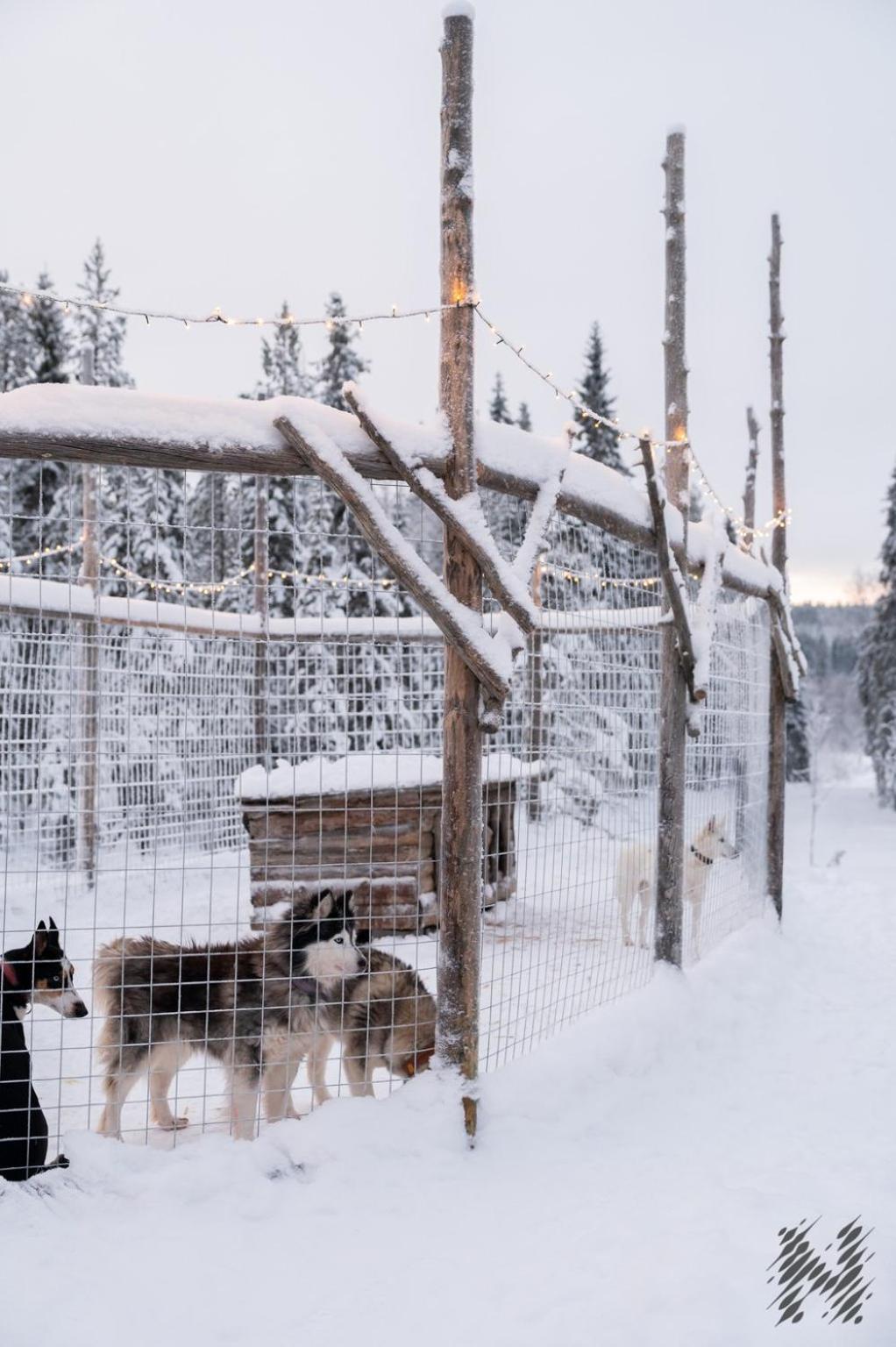 Nova Galaxy Village Rovaniemi Ngoại thất bức ảnh