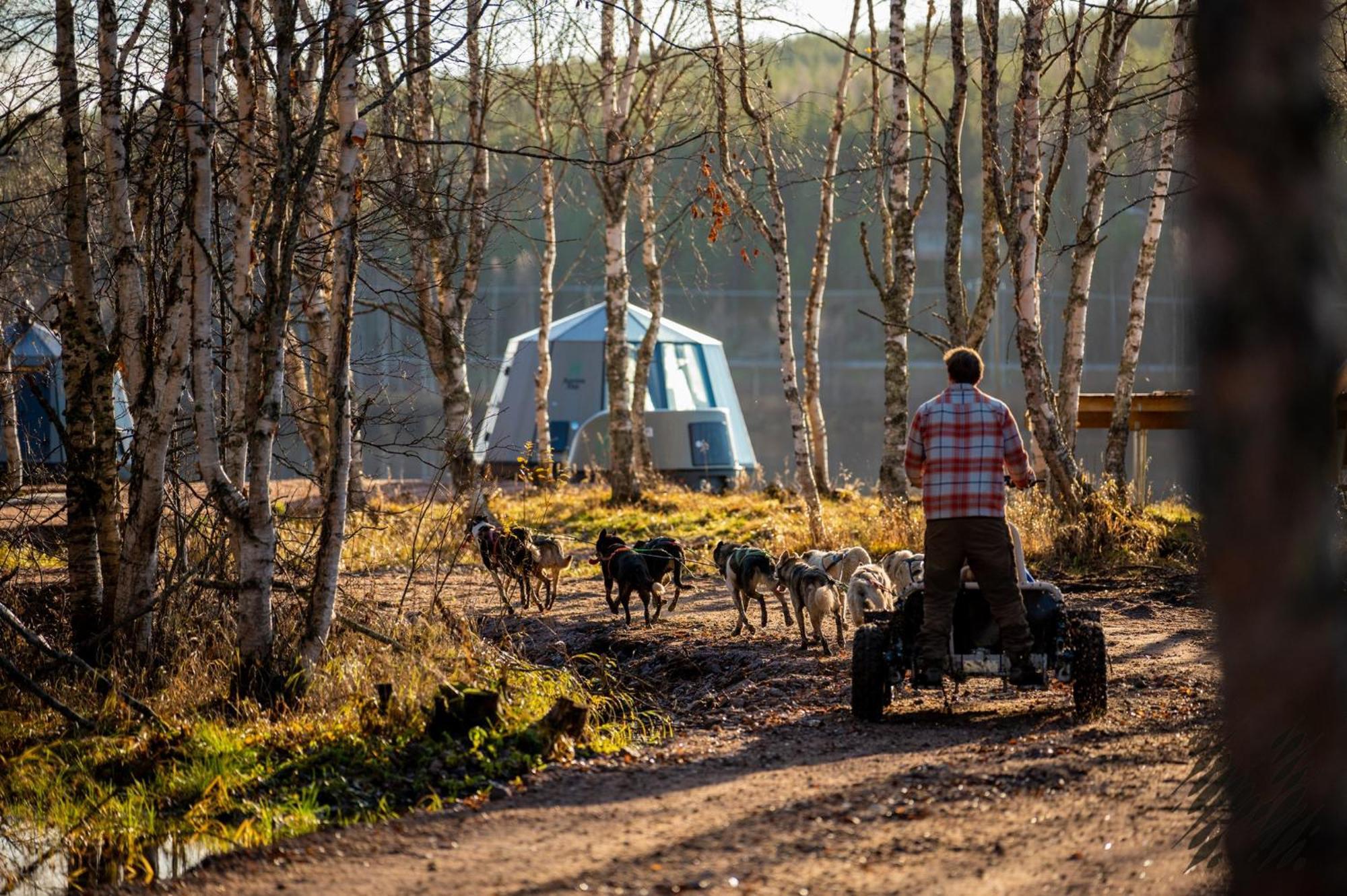 Nova Galaxy Village Rovaniemi Ngoại thất bức ảnh