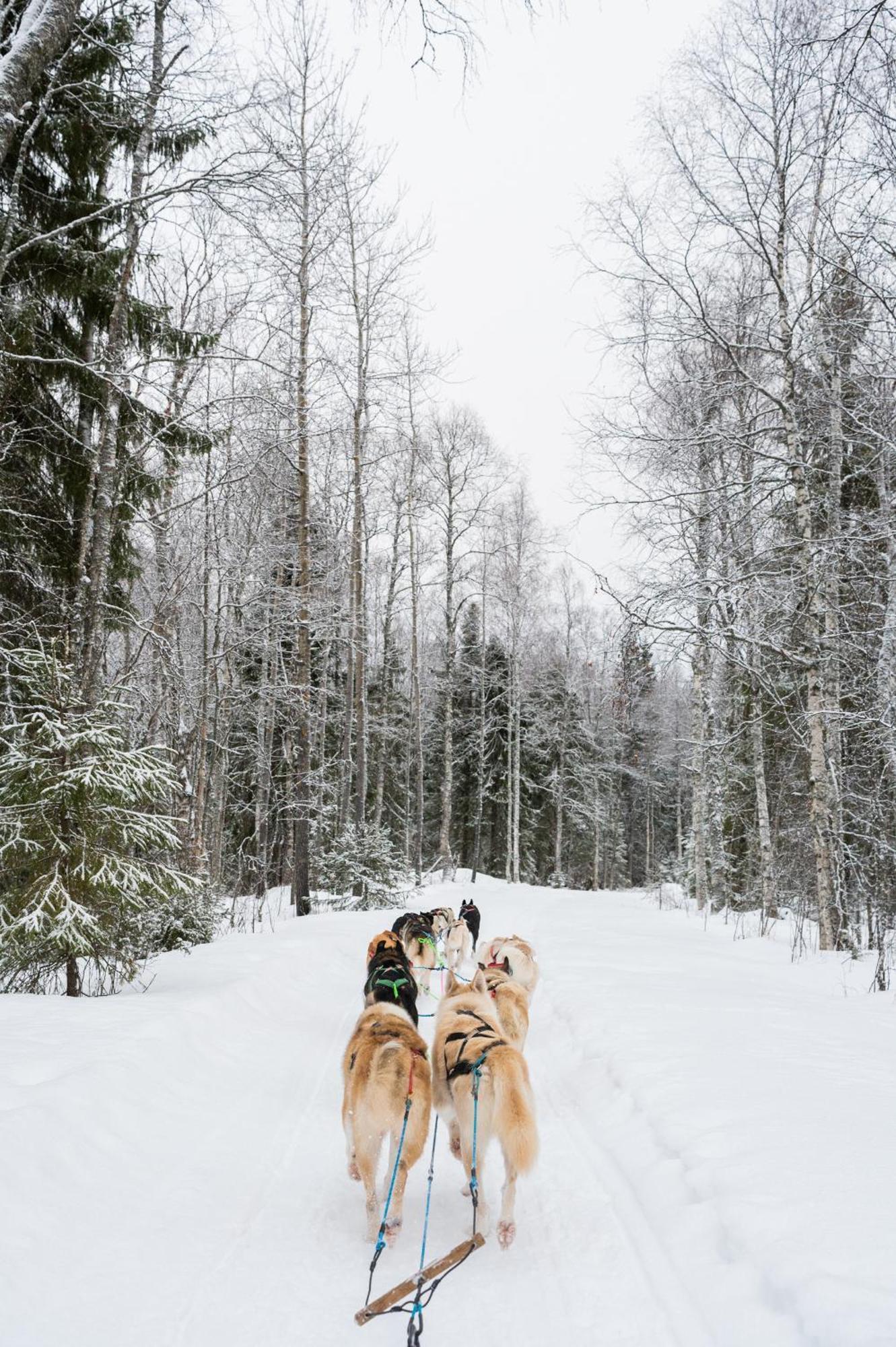 Nova Galaxy Village Rovaniemi Ngoại thất bức ảnh